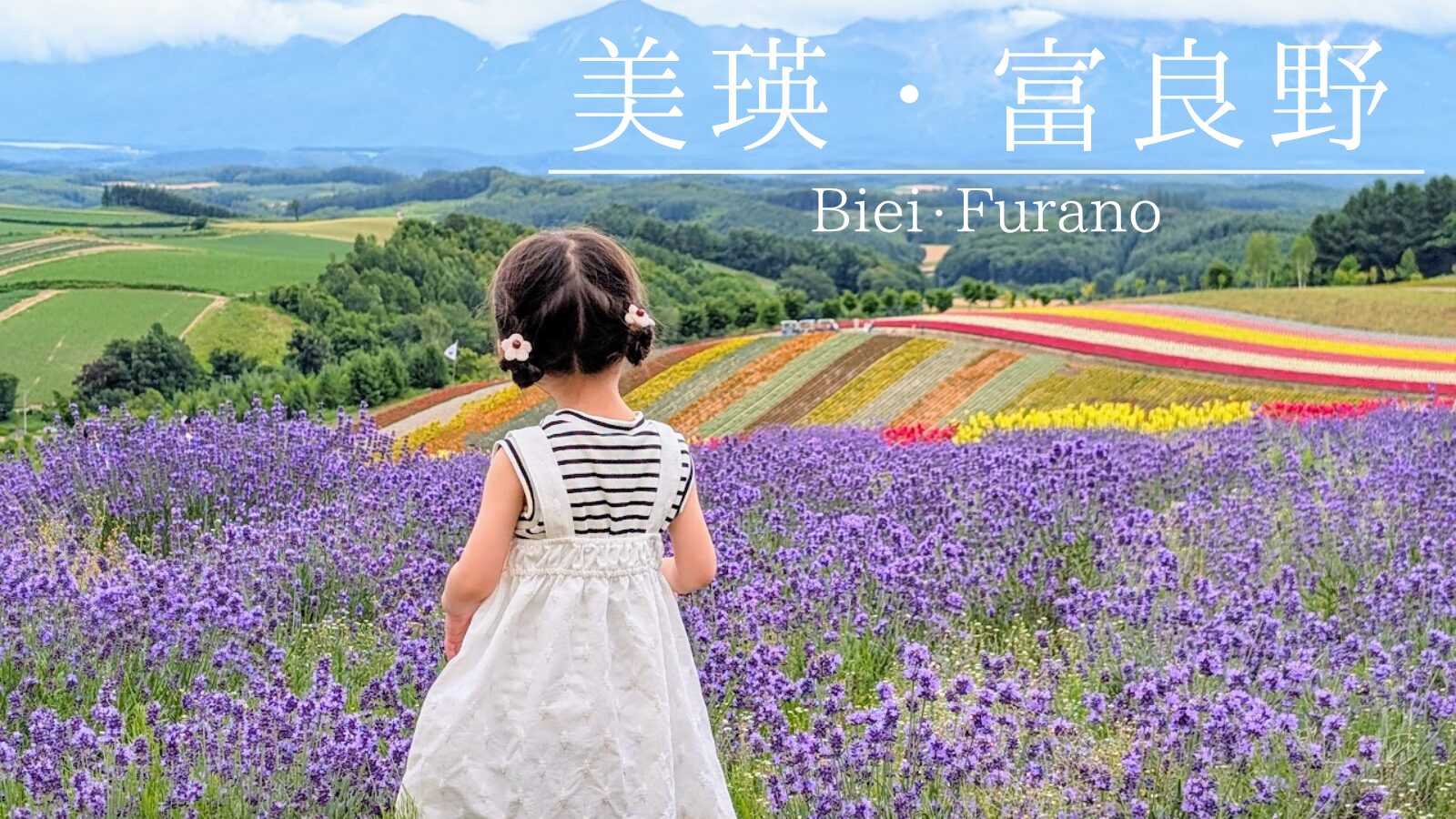 旭川から美瑛・富良野観光モデルコース