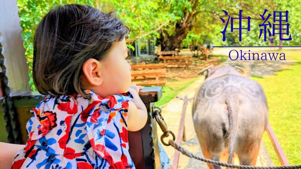 沖縄子連れ観光モデルコース