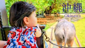 沖縄子連れ観光モデルコース